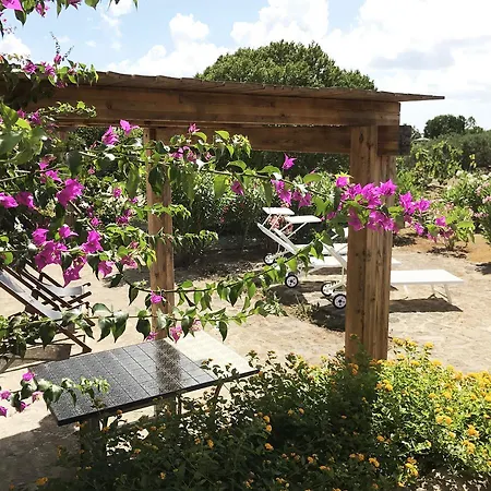 Dammusi Antico Borghetto Hotel apartamentowy *